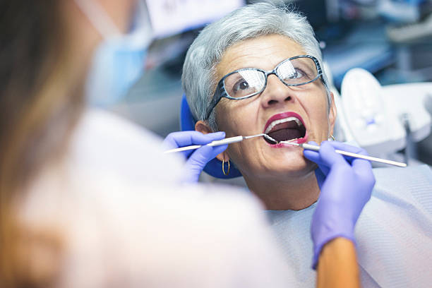Osceola, IN Holistic Dental Care Services Company